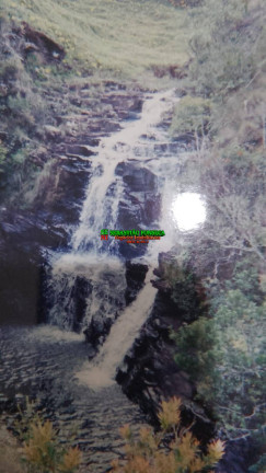 Imagem Fazenda à Venda, 180 m² em Serra Da Bocaina - Areias Imagem Fazenda à Venda, 180 m² em Serra Da Bocaina - Areias