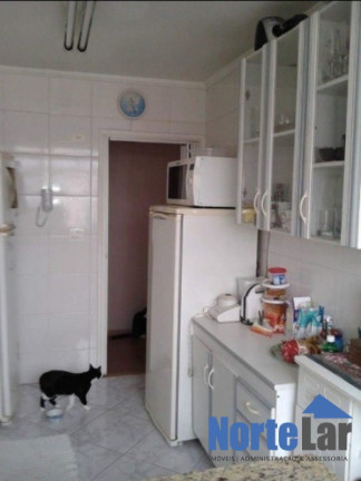 Imagem Apartamento com 2 Quartos à Venda, 72 m² em Vila Celeste - São Paulo