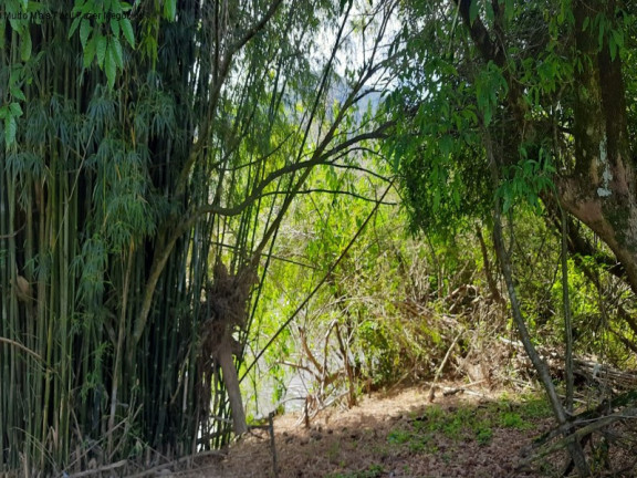 Imagem Terreno à Venda, 8 m² em Linha Temerária - Nova Petrópolis Imagem Terreno à Venda, 8 m² em Linha Temerária - Nova Petrópolis