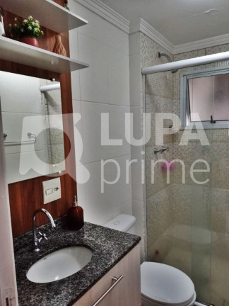 Imagem Apartamento com 3 Quartos à Venda, 67 m² em Vila Constança - São Paulo