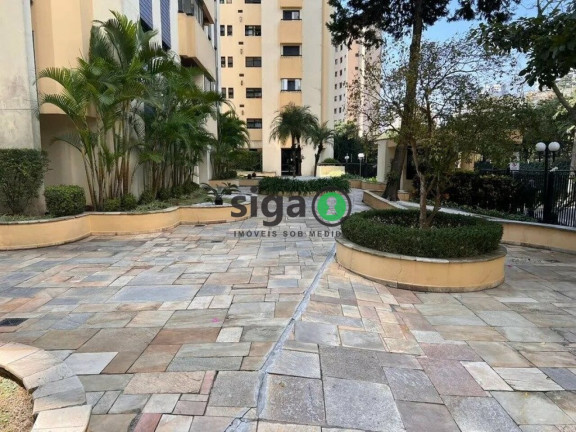 Imagem Apartamento com 3 Quartos à Venda, 80 m² em Vila Suzana - São Paulo Imagem Apartamento com 3 Quartos à Venda, 80 m² em Vila Suzana - São Paulo