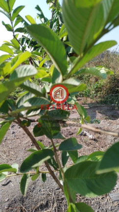 Imagem Imóvel à Venda, 2.000 m² em Chácara Itapoã - Jacareí