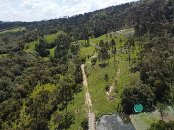 Imóvel com 2 Quartos à Venda, 500.000 m² em Interior - Otacílio Costa