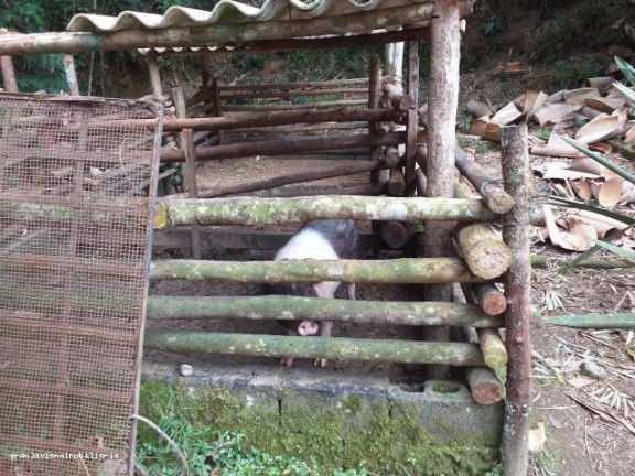 Imagem Chácara à Venda, em Consultar - Ibiúna Imagem Chácara à Venda, em Consultar - Ibiúna
