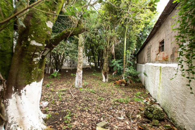 Imagem Terreno à Venda, 532 m² em Ecoville - Curitiba Imagem Terreno à Venda, 532 m² em Ecoville - Curitiba
