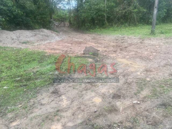 Imagem Terreno à Venda, 3.696 m² em Barranco Alto - Caraguatatuba