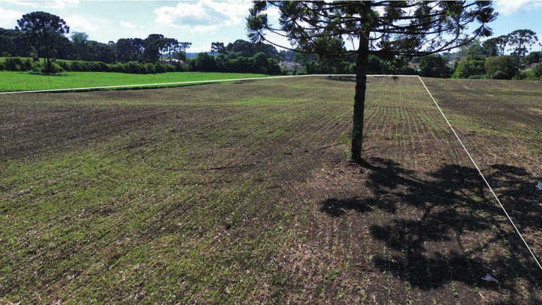 Imagem Fazenda à Venda, 19.400 m² em Tranqueira - Almirante Tamandare Imagem Fazenda à Venda, 19.400 m² em Tranqueira - Almirante Tamandare