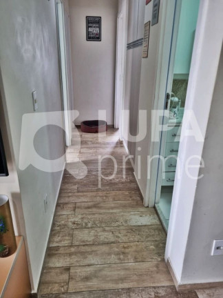 Imagem Apartamento com 3 Quartos à Venda, 83 m² em Jaçanã - São Paulo