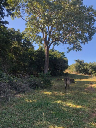 Imagem Fazenda à Venda, 229.899 m² em Centro - Córrego Do Ouro Imagem Fazenda à Venda, 229.899 m² em Centro - Córrego Do Ouro