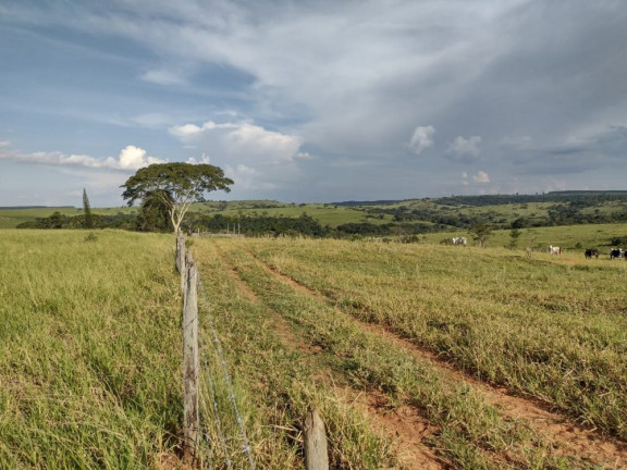 Imagem Imóvel à Venda, 10 m² em área Rural De Avaí - Avaí Imagem Imóvel à Venda, 10 m² em área Rural De Avaí - Avaí