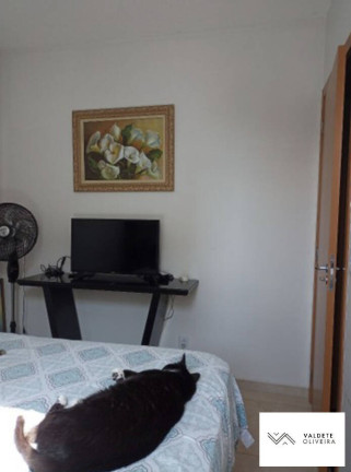 Imagem Apartamento com 2 Quartos à Venda, 44 m² em Jardim Gurilândia - Taubaté Imagem Apartamento com 2 Quartos à Venda, 44 m² em Jardim Gurilândia - Taubaté
