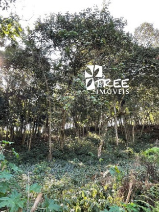 Imagem Terreno à Venda, 1.200 m² em Arujázinho I, Ii E Iii - Arujá Imagem Terreno à Venda, 1.200 m² em Arujázinho I, Ii E Iii - Arujá
