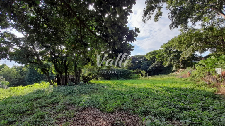 Imagem Imóvel com 3 Quartos à Venda, em Chácaras De Recreio Paraíso - Santa Bárbara D'oeste Imagem Imóvel com 3 Quartos à Venda, em Chácaras De Recreio Paraíso - Santa Bárbara D'oeste
