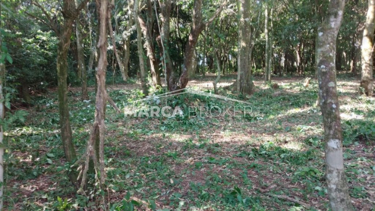 Imagem Fazenda à Venda, 35.000 m² em Floresta - Monte Santo De Minas Imagem Fazenda à Venda, 35.000 m² em Floresta - Monte Santo De Minas