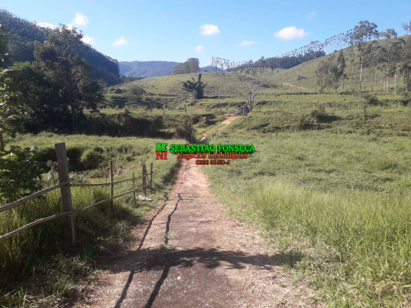 Imagem Chácara à Venda, 1 m² em Centro - Jambeiro Imagem Chácara à Venda, 1 m² em Centro - Jambeiro