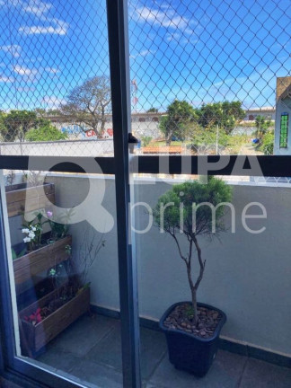 Imagem Apartamento com 2 Quartos à Venda, 57 m² em Chácara Belenzinho - São Paulo Imagem Apartamento com 2 Quartos à Venda, 57 m² em Chácara Belenzinho - São Paulo