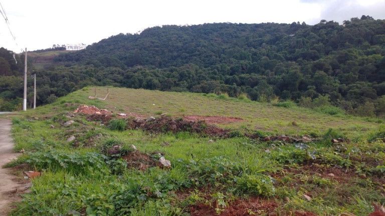 Imagem Terreno à Venda, 9.075 m² em Jardim Belval - Barueri