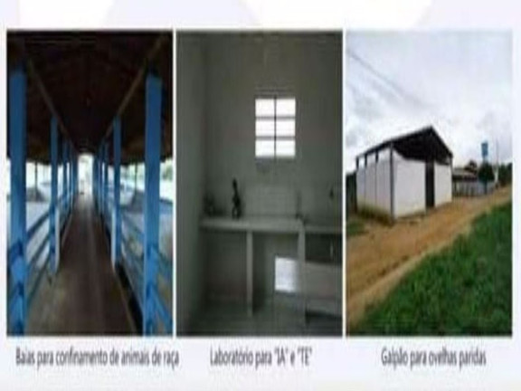 Imagem Fazenda à Venda, 200 m² em Zona Rural - Pilão Arcado Imagem Fazenda à Venda, 200 m² em Zona Rural - Pilão Arcado