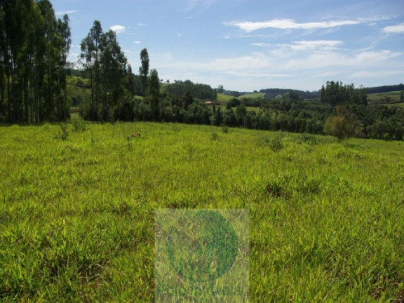 Imagem Imóvel com 3 Quartos à Venda, 220.000 m² em Zona Rural - Jacui