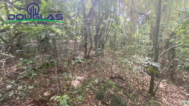 Imagem Terreno à Venda, 5.000 m² em Viamão Imagem Terreno à Venda, 5.000 m² em Viamão