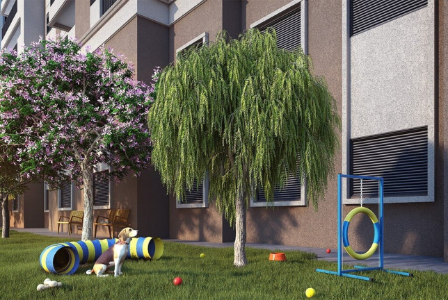 Imagem Apartamento com 3 Quartos à Venda, 66 m² em Lapa - São Paulo Imagem Apartamento com 3 Quartos à Venda, 66 m² em Lapa - São Paulo