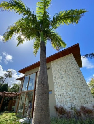 Imagem Casa com 4 Quartos à Venda, 290 m² em Praia Do Forte - Mata De São João Imagem Casa com 4 Quartos à Venda, 290 m² em Praia Do Forte - Mata De São João