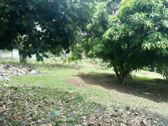 Imagem Terreno à Venda, 2.800 m² em Rural - Paudalho Imagem Terreno à Venda, 2.800 m² em Rural - Paudalho