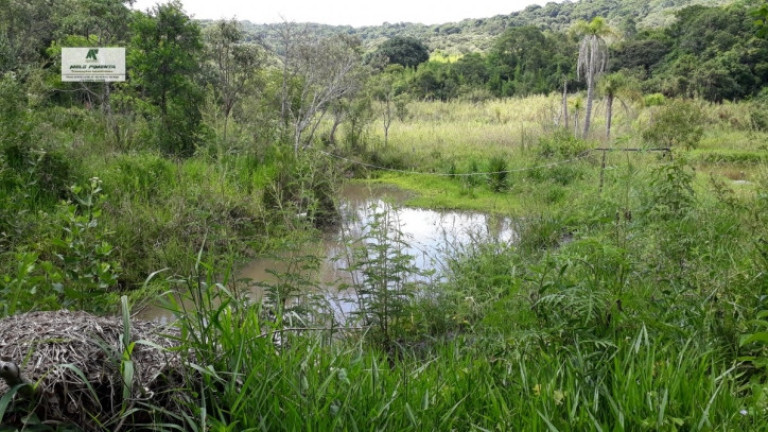 Imagem Chácara com 2 Quartos à Venda, 2.500 m² em Sorocamirim - São Roque