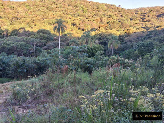 Imagem Terreno à Venda, 3.600 m² em Pedra Vermelha (terra Preta) - Mairiporã
