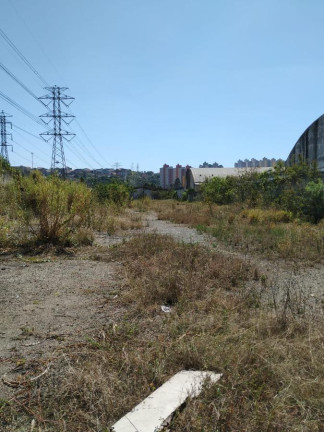 Imagem Imóvel com 1 Quarto para Alugar, 5.000 m² em Aricanduva - São Paulo Imagem Imóvel com 1 Quarto para Alugar, 5.000 m² em Aricanduva - São Paulo