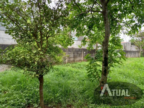 Imagem Terreno à Venda, 350 m² em Jardim Tropical - Itaquaquecetuba Imagem Terreno à Venda, 350 m² em Jardim Tropical - Itaquaquecetuba