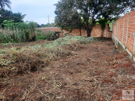 Imagem Terreno à Venda, 390 m² em Morada Dos Pássaros - Aparecida De Goiânia Imagem Terreno à Venda, 390 m² em Morada Dos Pássaros - Aparecida De Goiânia