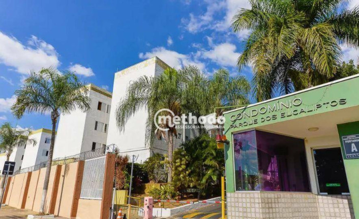Imagem Apartamento com 2 Quartos à Venda, 50 m² em Vila Padre Manoel De Nóbrega - Campinas Imagem Apartamento com 2 Quartos à Venda, 50 m² em Vila Padre Manoel De Nóbrega - Campinas