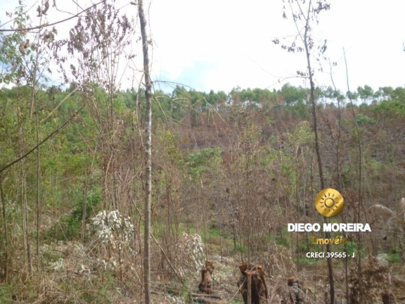 Terreno à Venda, 2 m² em Mato Dentro - Mairiporã