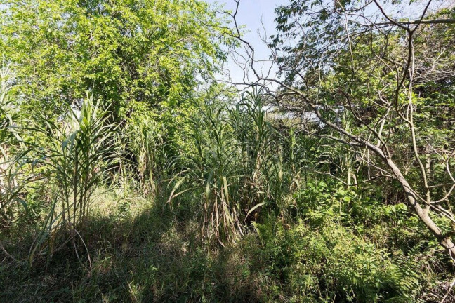 Imagem Terreno à Venda, 345 m² em Chapéu Do Sol - Porto Alegre Imagem Terreno à Venda, 345 m² em Chapéu Do Sol - Porto Alegre