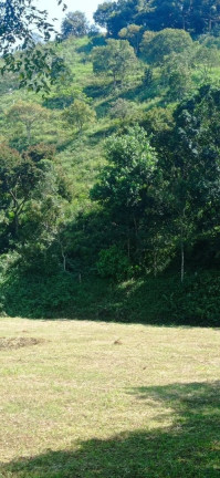 Imagem Terreno à Venda, 1.000 m² em Centro - Santa Branca Imagem Terreno à Venda, 1.000 m² em Centro - Santa Branca