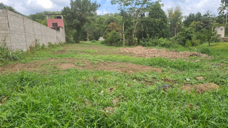 Terreno à Venda, 1.000 m² em . - Pedro De Toledo