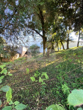 Imagem Terreno à Venda, 303 m² em Mossunguê - Curitiba Imagem Terreno à Venda, 303 m² em Mossunguê - Curitiba