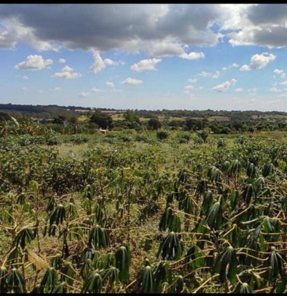 Imagem Chácara com 2 Quartos à Venda, 32.000 m² em Conjunto José Abrão - Campo Grande Imagem Chácara com 2 Quartos à Venda, 32.000 m² em Conjunto José Abrão - Campo Grande