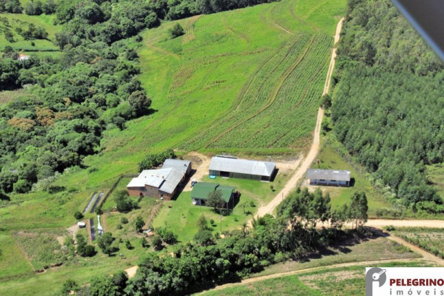 Imagem Imóvel com 3 Quartos à Venda, 80.000 m² em Zona Rural - Sentinela Do Sul Imagem Imóvel com 3 Quartos à Venda, 80.000 m² em Zona Rural - Sentinela Do Sul