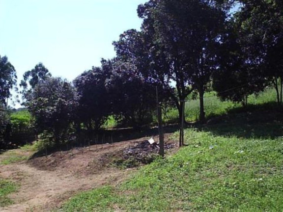 Imagem Imóvel com 3 Quartos à Venda, 37.800 m² em Três Vendas - Campinas