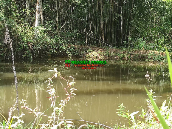 Imagem Chácara à Venda, 20.000 m² em área Rural De Caçapava - Caçapava Imagem Chácara à Venda, 20.000 m² em área Rural De Caçapava - Caçapava