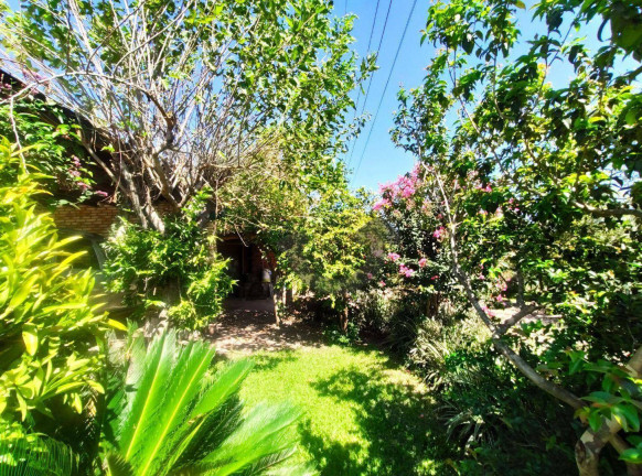 Imagem Chácara com 4 Quartos à Venda, 250 m² em Interior - Vera Cruz
