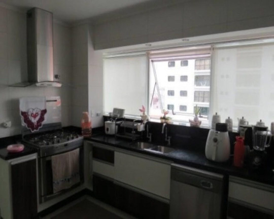 Imagem Apartamento com 4 Quartos à Venda, 253 m² em Cambuci - São Paulo