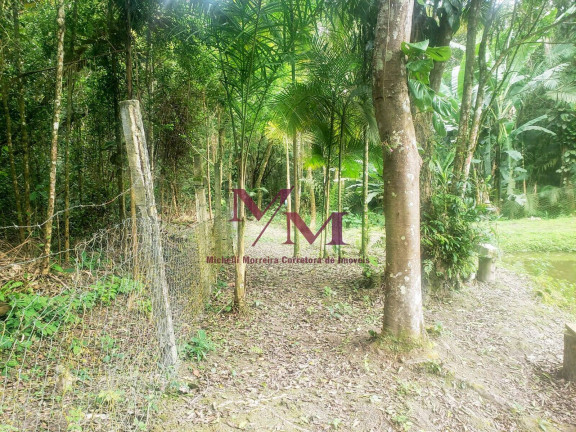 Imagem Chácara com 3 Quartos à Venda, 8.000 m² em Alexandra - Paranaguá