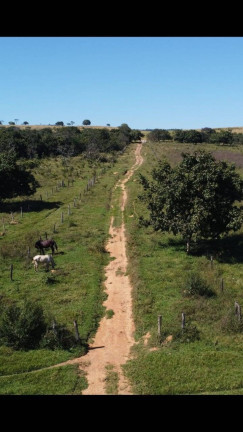 Imagem Fazenda à Venda, 2 m² em área Rural De Luziânia - Luziânia Imagem Fazenda à Venda, 2 m² em área Rural De Luziânia - Luziânia
