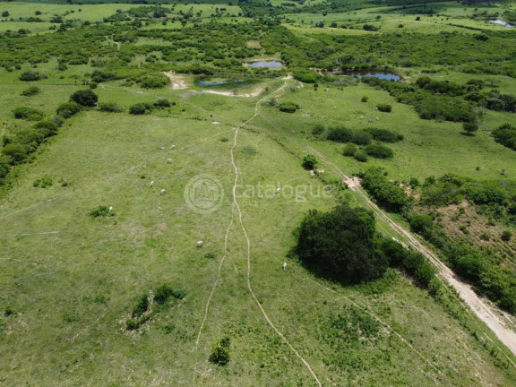 Imagem Fazenda à Venda, 300.000 m² em Lagoa Do Mato - Monte Alegre Imagem Fazenda à Venda, 300.000 m² em Lagoa Do Mato - Monte Alegre