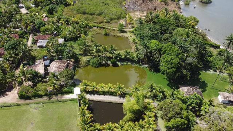Imagem Terreno à Venda, em Taipu De Dentro - Marau Imagem Terreno à Venda, em Taipu De Dentro - Marau