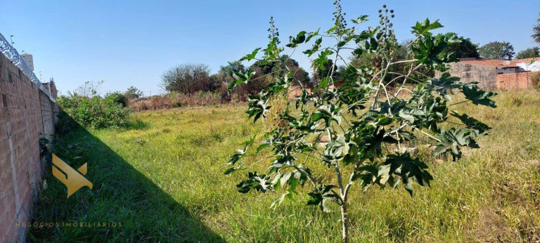 Imagem Terreno à Venda, 5.000 m² em Jardim Monte Alegre - Campo Grande Imagem Terreno à Venda, 5.000 m² em Jardim Monte Alegre - Campo Grande