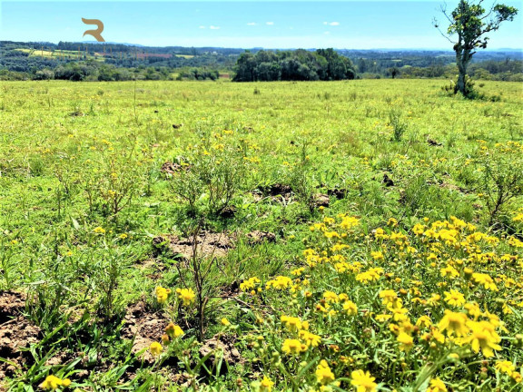 Imagem Chácara à Venda, 5.000 m² em Fiuza - Viamão Imagem Chácara à Venda, 5.000 m² em Fiuza - Viamão